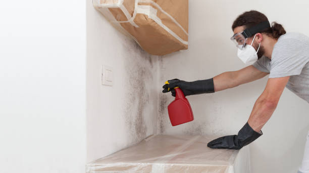 Professional Bathroom Mold Removal technician working in Cape Coral, FL